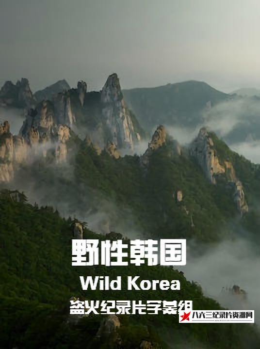 野性韩国 Wild Korea的海报
