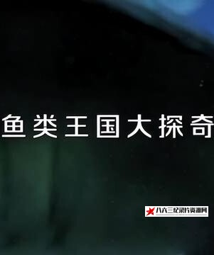 中国大陆纪录片《鱼类王国大探奇 鱼类王国大探奇》高清下载-八六三纪录片资源网