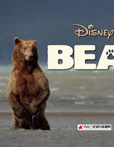 中国台湾纪录片《寻找最后的巨兽 生态全纪录:寻找最后的巨兽》高清下载-八六三纪录片资源网