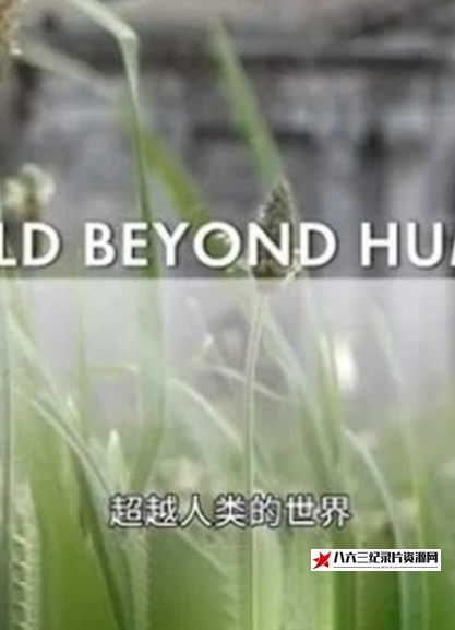 法国纪录片《超越人类的世界 A World Beyond Humans》高清下载-八六三纪录片资源网