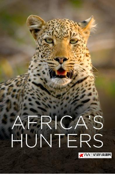 美国纪录片《非洲猎手 Africa’s Hunters》高清下载-八六三纪录片资源网