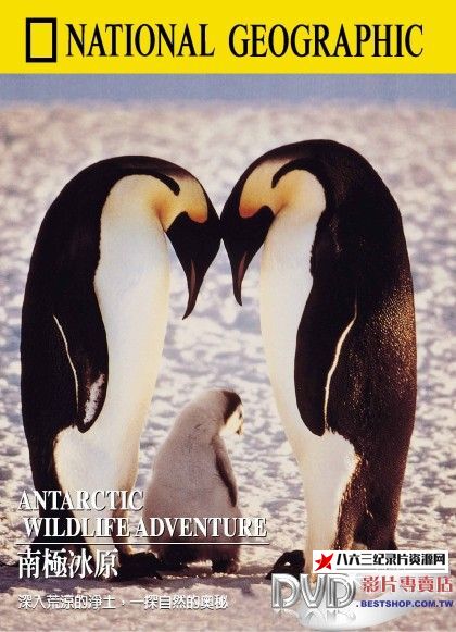 英国纪录片《南极冰原 Antarctic Wildlife Adventure》高清下载-八六三纪录片资源网