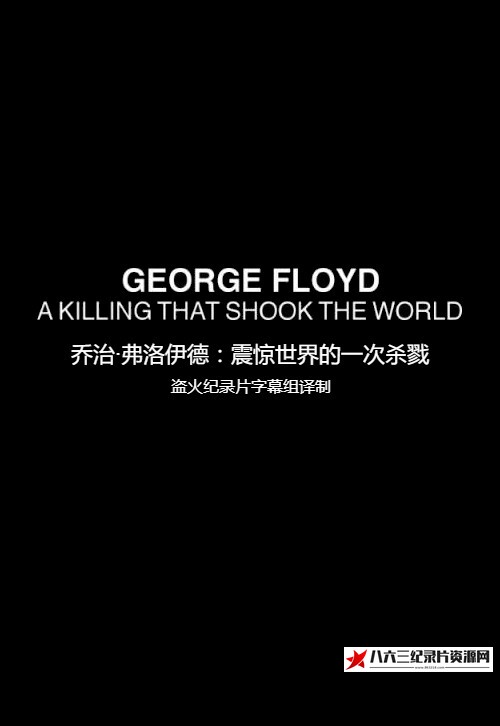 乔治·弗洛伊德:震惊世界的一次杀戮 George Floyd: A Killing That Shook the World的海报