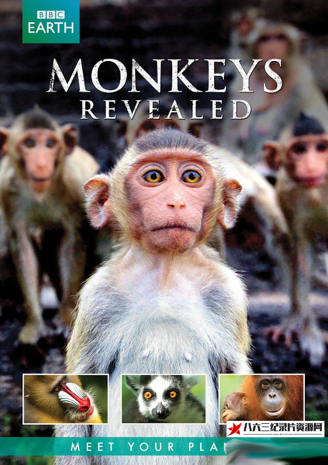英国纪录片《猴子大观 Monkeys Revealed》高清下载-八六三纪录片资源网