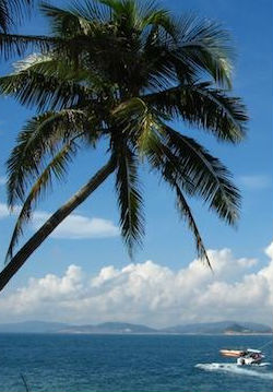 中国大陆纪录片《印象海南 Impression HaiNan》高清下载-八六三纪录片资源网