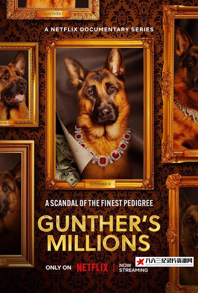 美国纪录片《亿万富犬 Gunther's Millions》高清下载-八六三纪录片资源网