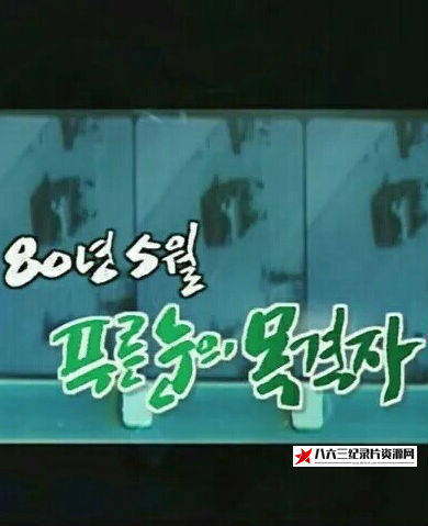 韩国纪录片《1980年5月，蓝眼睛的目击者 80년 5월, 푸른눈의 목격자》高清下载-八六三纪录片资源网