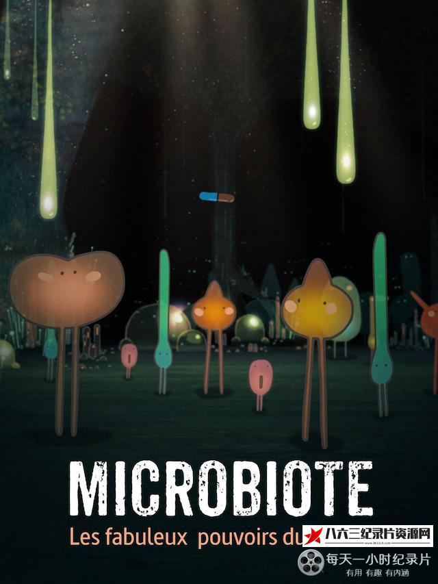 法国纪录片《不可思议的肠道菌 Microbiota:The Amazing Powers of the Gut》高清下载-八六三纪录片资源网