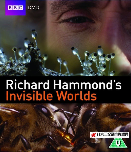 看不见的世界 Richard Hammond's Invisible Worlds的海报