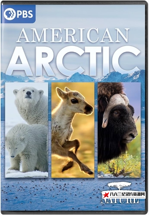 美国北极 American Arctic的海报