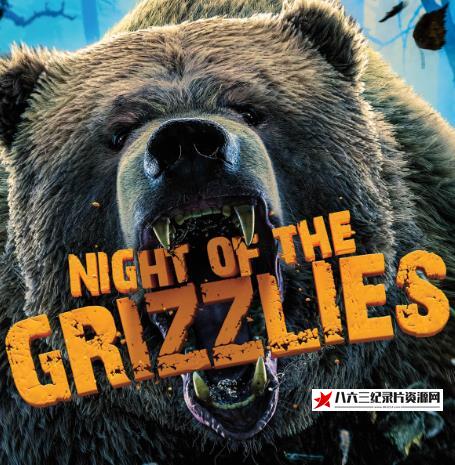 荒野远征:灰熊之夜+巨狼+美国吸血蝙蝠 America The Wild: Night of The Grizzly的海报
