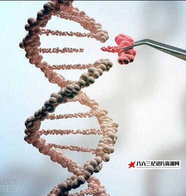 英国纪录片《医学大突破—编辑你的基因 医学大突破—编辑你的基因》高清下载-八六三纪录片资源网
