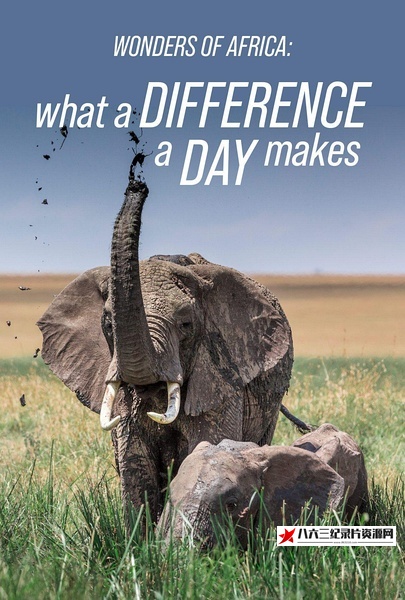 美国纪录片《非洲野生动物们的一天 Wonders of Africa》高清下载-八六三纪录片资源网