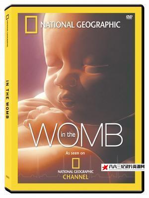 美国纪录片《子宫日记：人类篇 In the Womb》高清下载-八六三纪录片资源网