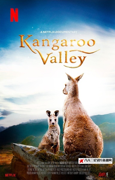 袋鼠谷 Kangaroo Valley的海报