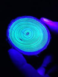 走进纳米世界 Nanosurvies, les pouvoirs invisibles de la nature的海报