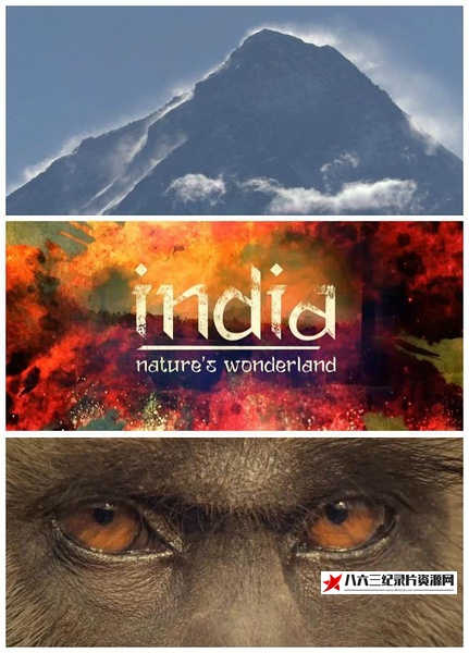 英国纪录片《印度：大自然的仙境  India: Nature’s Wonderland》高清下载-八六三纪录片资源网
