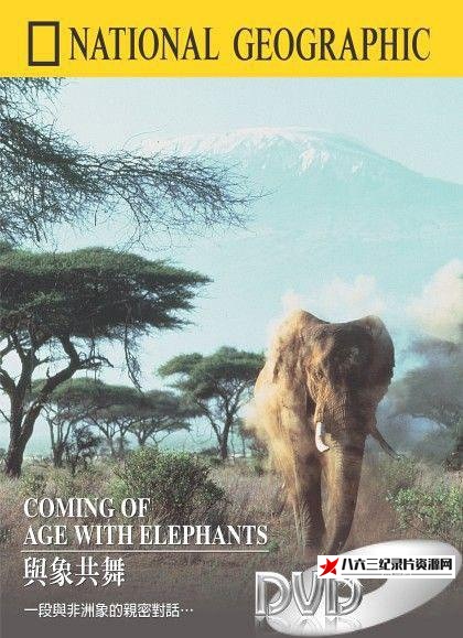 美国纪录片《国家地理百年纪念典藏 National Geographic 100 Year》高清下载-八六三纪录片资源网