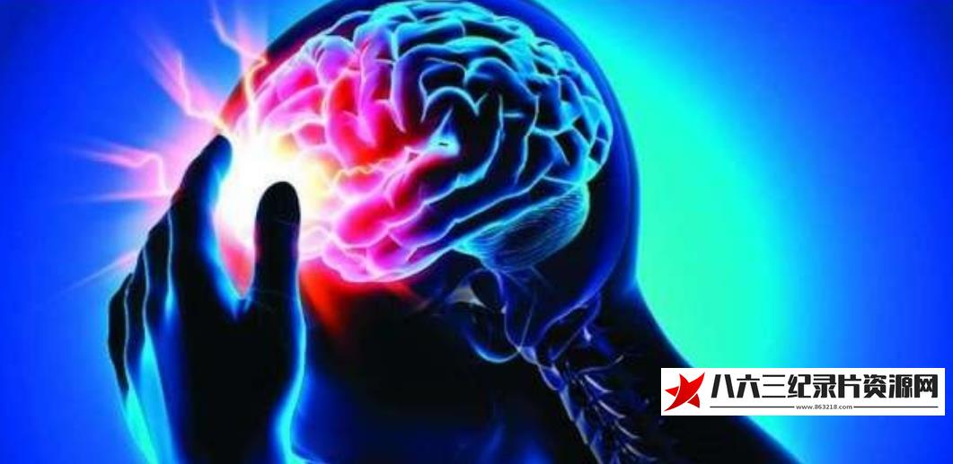 600公里的危机 600公里的危机的海报