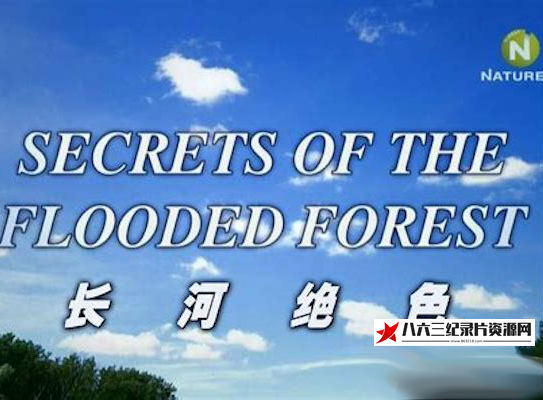 纪录片《泛滥森林的秘密 长河绝色 Secrets of the Flooded Forest》高清下载-八六三纪录片资源网