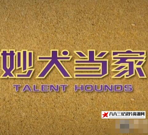 美国纪录片《妙犬当家 Talent Hounds》高清下载-八六三纪录片资源网
