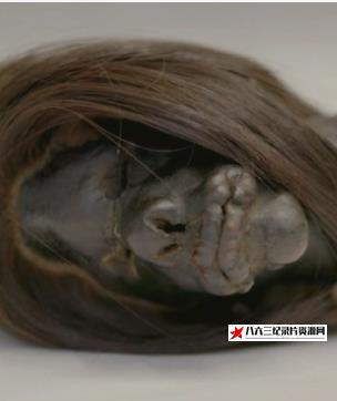 英国纪录片《古代之谜：亚马逊缩头术 Ancient Mysteries Shrunken Heads Of The Amazon》高清下载-八六三纪录片资源网
