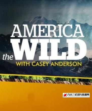 美国纪录片《荒野远征：美国吸血蝙蝠 America The Wild: American Vampire》高清下载-八六三纪录片资源网
