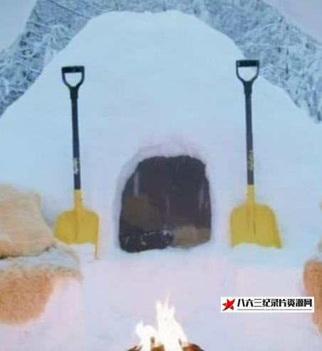 英国纪录片《奇妙空间：冰雪特集 Amazing Spaces Snow Special》高清下载-八六三纪录片资源网