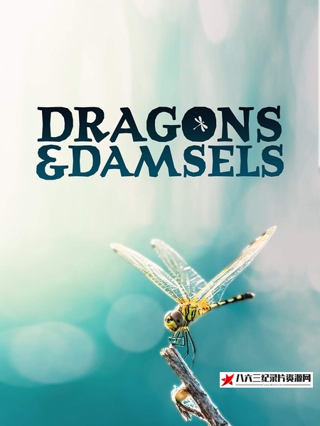 中国大陆纪录片《蜻蜓与豆娘的生存密码 Dragons & Damsels》高清下载-八六三纪录片资源网