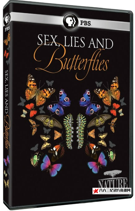 性感 谎言和蝴蝶 Sex Lies and Butterflies的海报