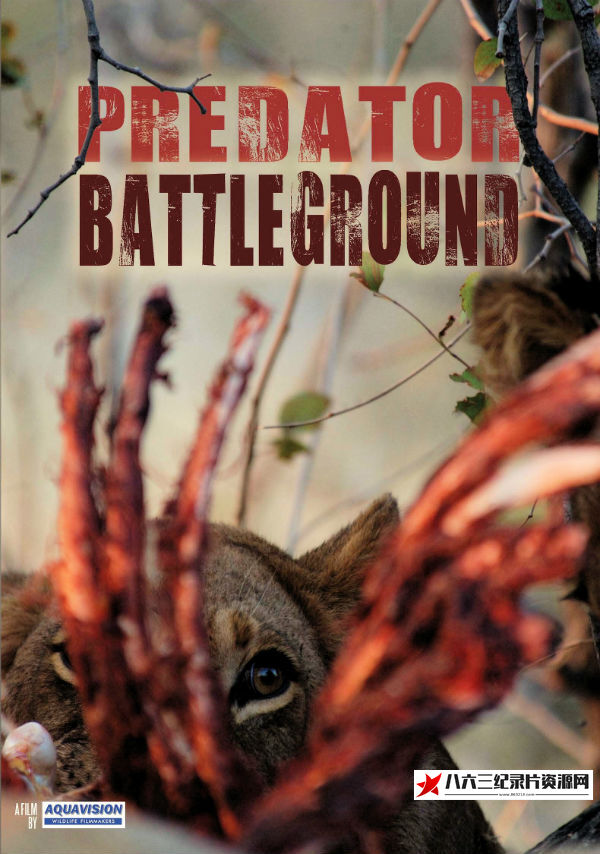 美国纪录片《掠食动物战场 Predator Battleground》高清下载-八六三纪录片资源网