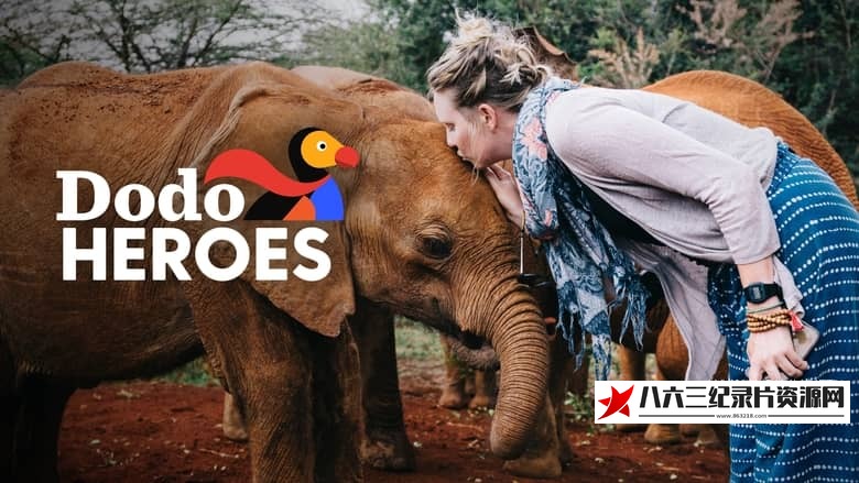 纪录片《渡渡鸟英雄：近距离的勇气 Dodo Heroes: Courage Up Close》高清下载-八六三纪录片资源网