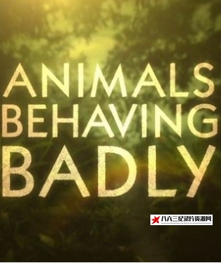 英国纪录片《动物举止背后的谎言 Animals Behaving Badly》高清下载-八六三纪录片资源网