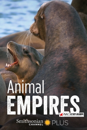 美国纪录片《动物帝国 Animal Empires》高清下载-八六三纪录片资源网