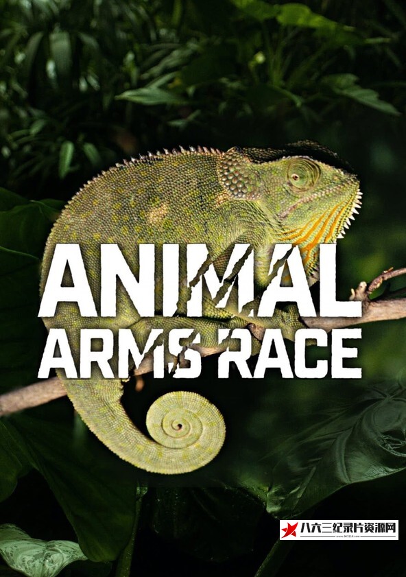 澳大利亚纪录片《动物军备竞赛 Animal Arms Race》高清下载-八六三纪录片资源网