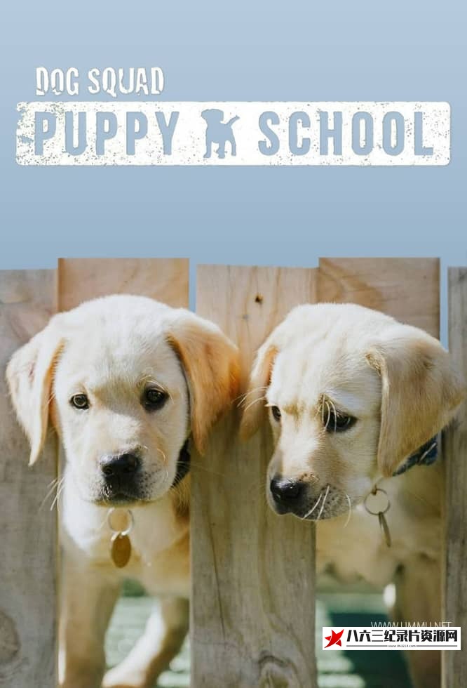 美国纪录片《狗狗学校 Dog School》高清下载-八六三纪录片资源网