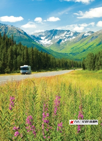 美国纪录片《阿拉斯加之夏 Alaskan Summer》高清下载-八六三纪录片资源网