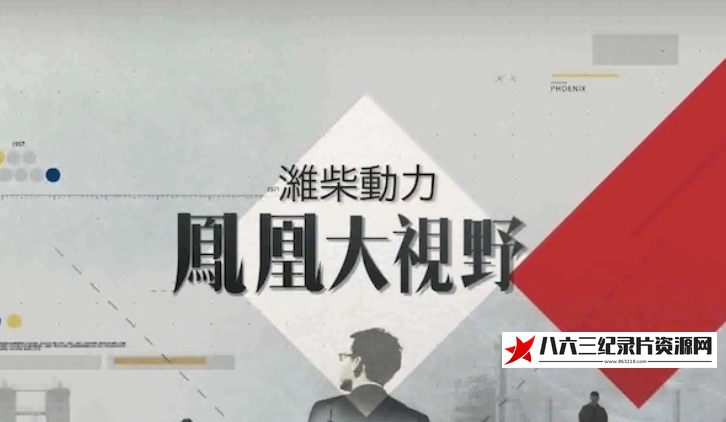 中国香港纪录片《偏见与癫狂——种族主义大起底》高清下载-八六三纪录片资源网