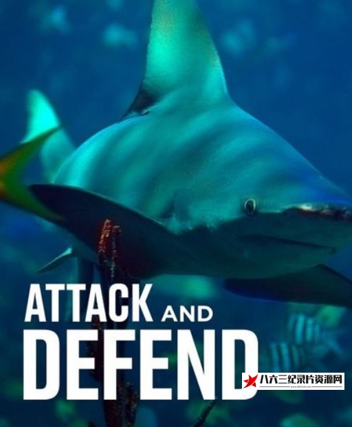 美国纪录片《袭击和抵御 Attack and Defend》高清下载-八六三纪录片资源网