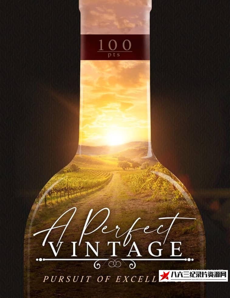 法国纪录片《完美的年份 A Perfect Vintage》高清下载-八六三纪录片资源网