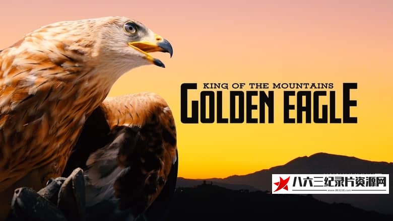 纪录片《山中之王：金雕 King of the Mountains：Golden Eagle》高清下载-八六三纪录片资源网
