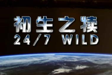 英国纪录片《寰宇视野 初生之犊》高清下载-八六三纪录片资源网