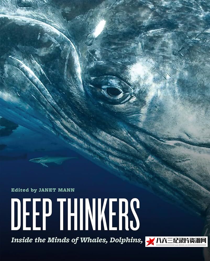 英国纪录片《聪明的海豚 Dolphins-Deep Thinkers》高清下载-八六三纪录片资源网