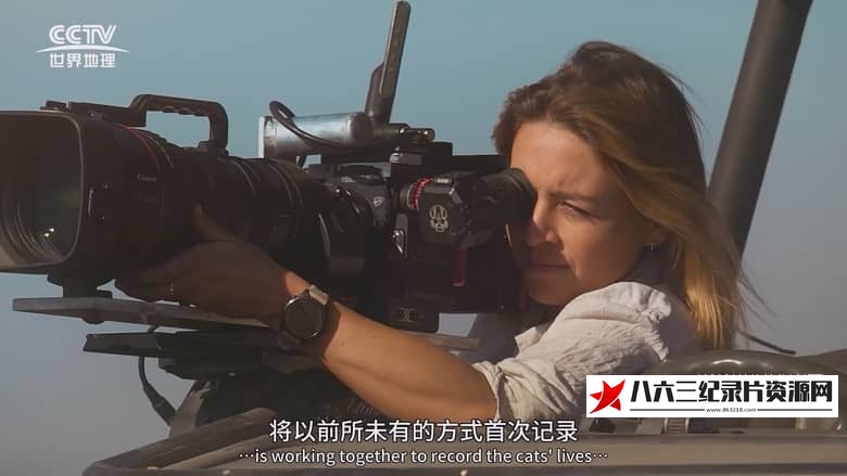 纪录片《大猫全实录 Big Cats 24/7》高清下载-八六三纪录片资源网