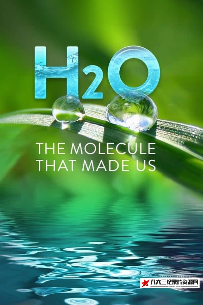 美国纪录片《H2O：造就我们的分子 H2O: The Molecule That Made Us》高清下载-八六三纪录片资源网
