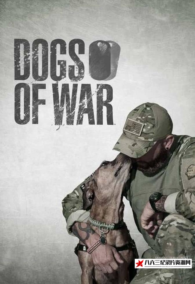美国纪录片《战后应激疗愈犬 Dogs of War》高清下载-八六三纪录片资源网