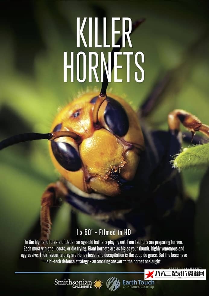 英国纪录片《大黄蜂杀手 The Killer Hornets》高清下载-八六三纪录片资源网