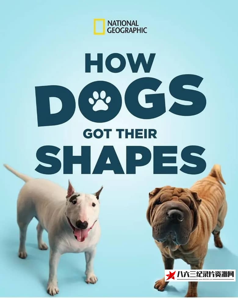 美国纪录片《狗狗体型之谜 How Dogs Got Their Shapes》高清下载-八六三纪录片资源网