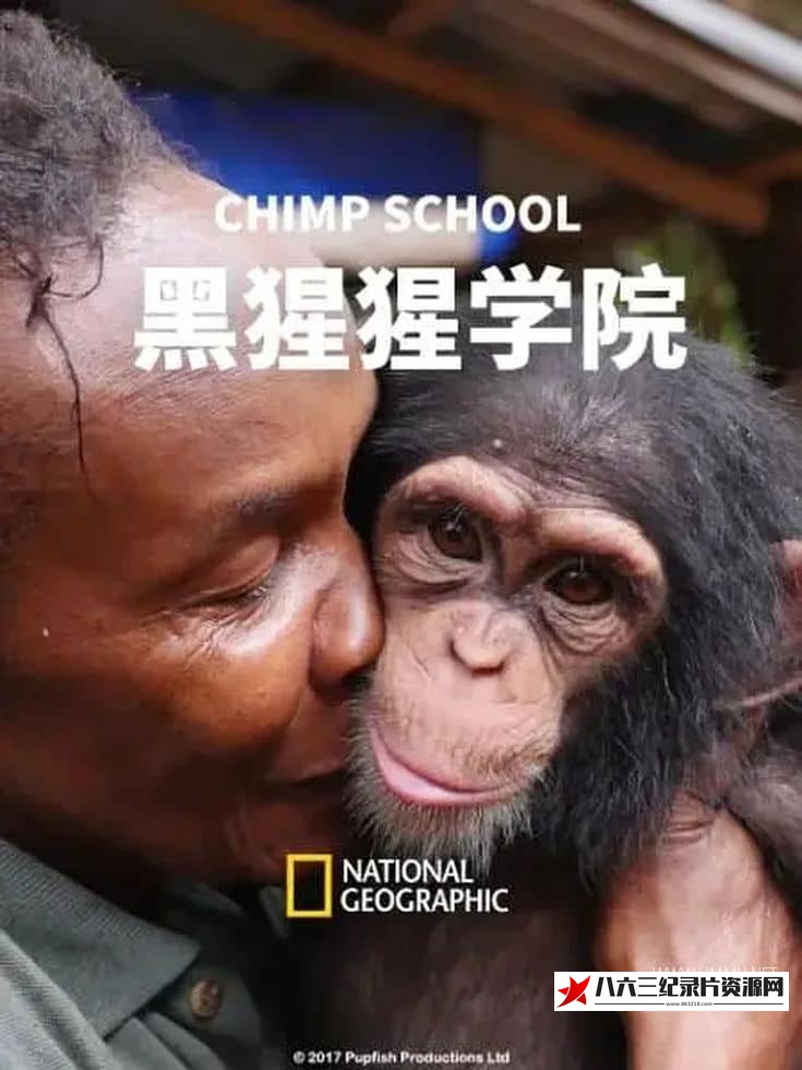 美国纪录片《黑猩猩学院 Chimp School》高清下载-八六三纪录片资源网