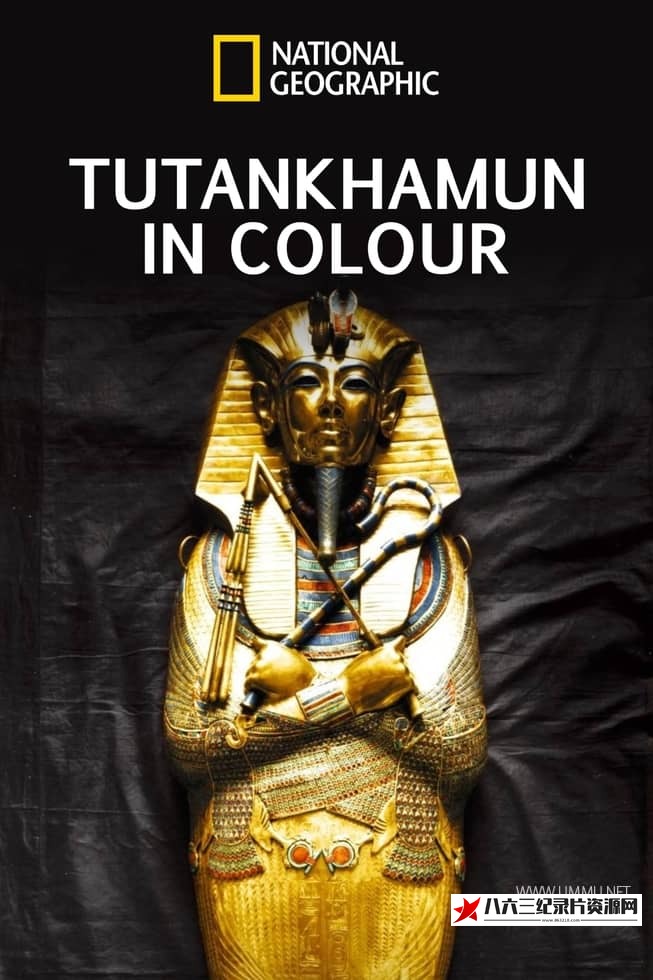 美国纪录片《全彩少年法老 King Tut in Color》高清下载-八六三纪录片资源网